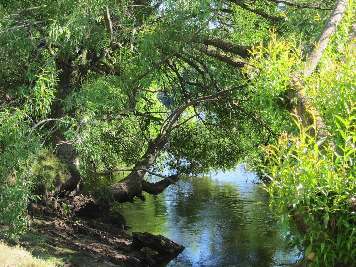 On The River Tamahere Exterior photo
